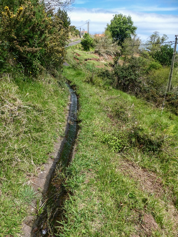 11.05.2019 Levadasuche in Gaula — Weiter auf dem Hauptast bis zum Ende — Foto 19