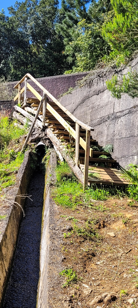11 de junho de 2022 Volta exigente pelo Rosto Branco — Subida de Rosario à Levada da Faja do Rodrigues — foto 10