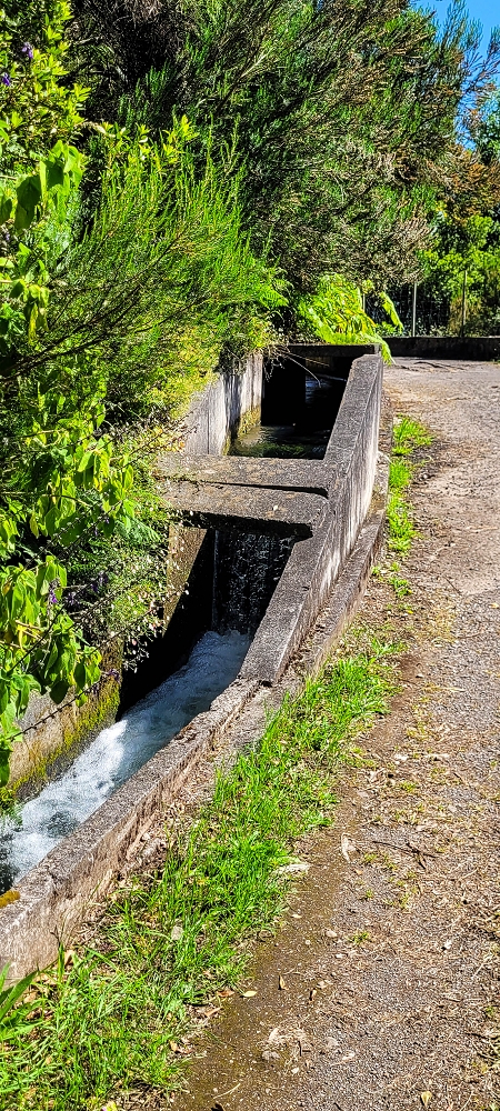 11 de junho de 2022 Volta exigente pelo Rosto Branco — Levada da Faja do Rodrigues — foto 3