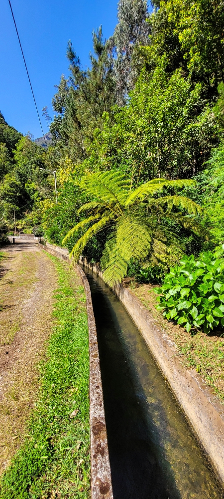11 de junho de 2022 Volta exigente pelo Rosto Branco — Levada da Faja do Rodrigues — foto 4
