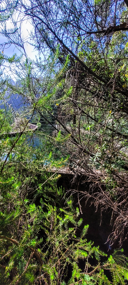 11 de junho de 2022 Volta exigente pelo Rosto Branco — Reservatório intermédio, descarga e descarregador da Levada dos Agrioes — foto 4
