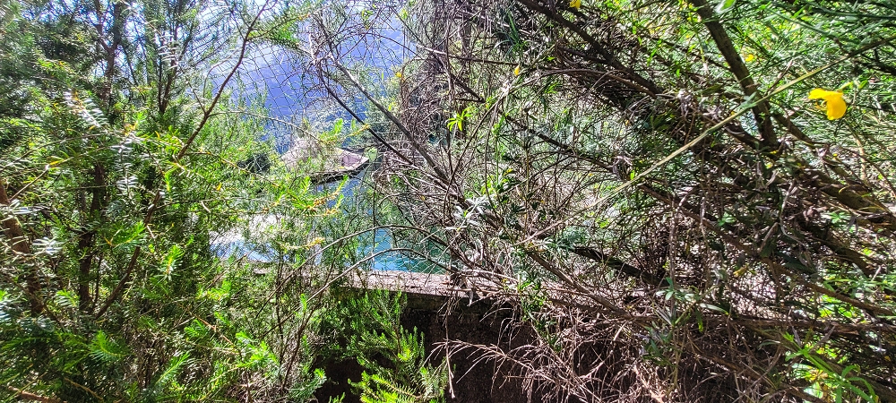 11 de junho de 2022 Volta exigente pelo Rosto Branco — Reservatório intermédio, descarga e descarregador da Levada dos Agrioes — foto 5