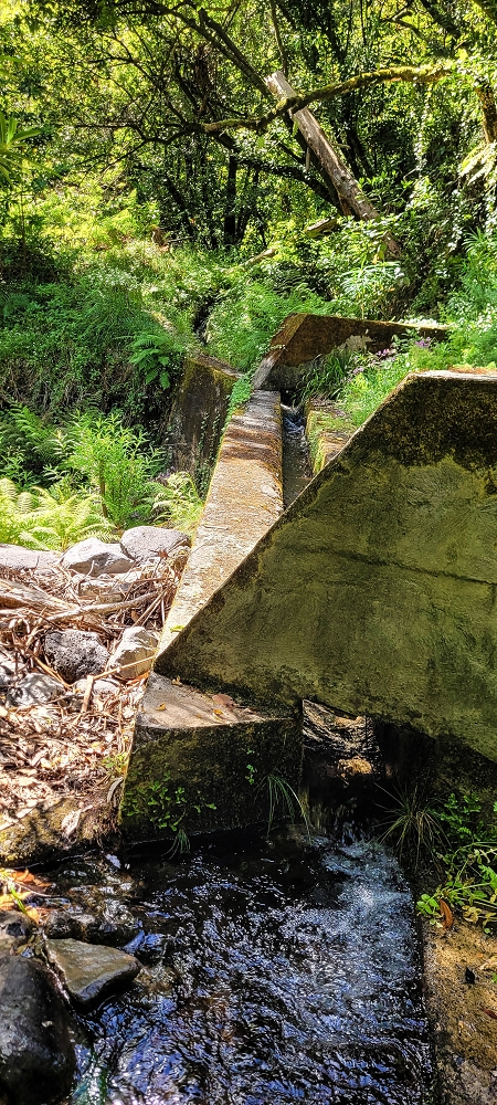 11 de junho de 2022 Volta exigente pelo Rosto Branco — Na Levada dos Agrioes até à segunda Madre — foto 1