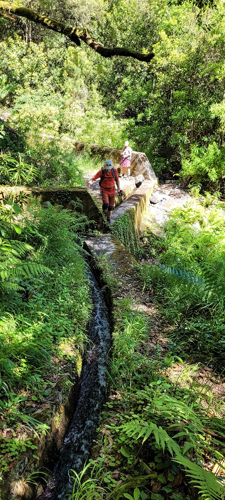 11 de junho de 2022 Volta exigente pelo Rosto Branco — Na Levada dos Agrioes até à segunda Madre — foto 2