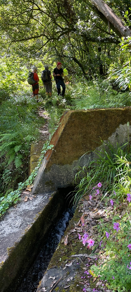 11 de junho de 2022 Volta exigente pelo Rosto Branco — Na Levada dos Agrioes até à segunda Madre — foto 3