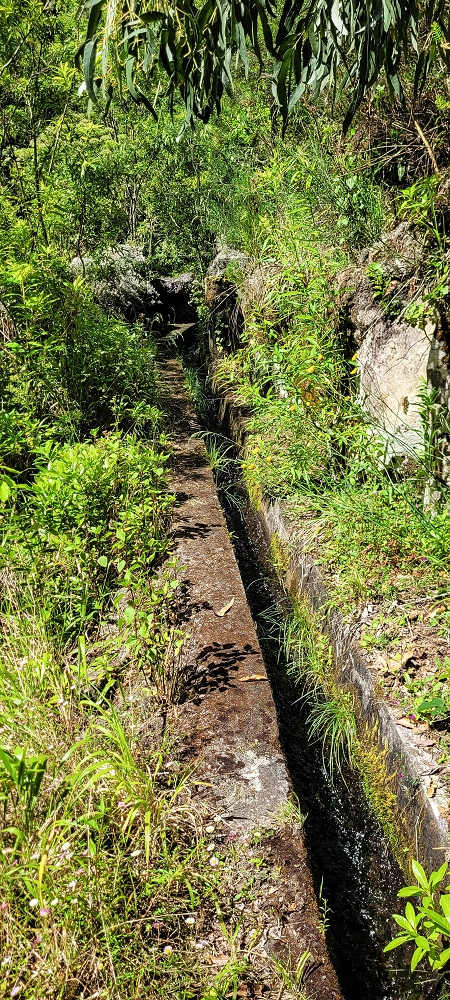 11 de junho de 2022 Volta exigente pelo Rosto Branco — Na Levada dos Agrioes até à segunda Madre — foto 7