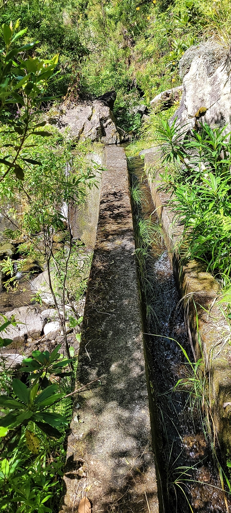 11 de junho de 2022 Volta exigente pelo Rosto Branco — Na Levada dos Agrioes até à segunda Madre — foto 8
