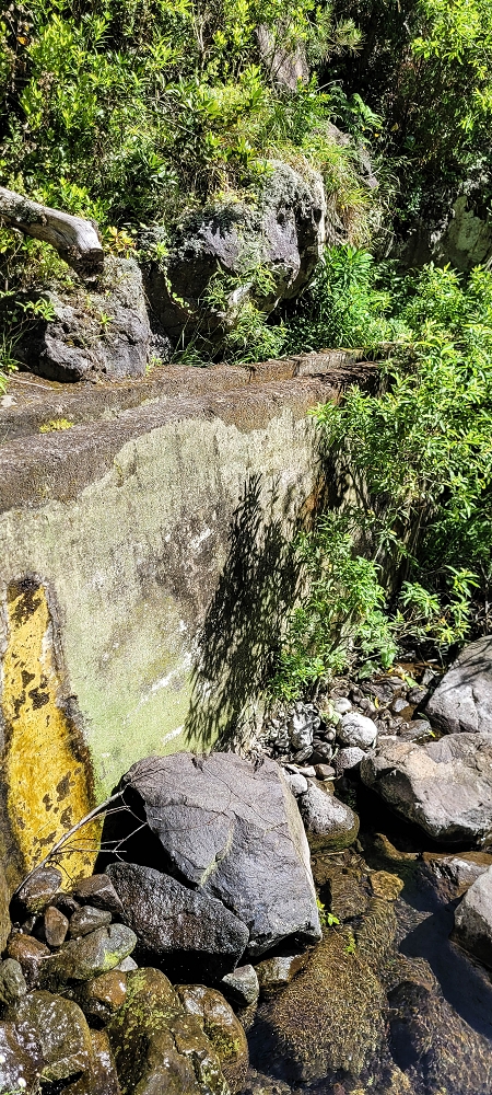 11 de junho de 2022 Volta exigente pelo Rosto Branco — Na Levada dos Agrioes até à segunda Madre — foto 10