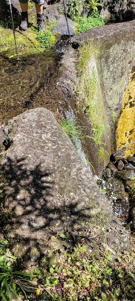 11 de junho de 2022 Volta exigente pelo Rosto Branco — Na Levada dos Agrioes até à segunda Madre — foto 11