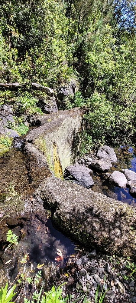 11 de junho de 2022 Volta exigente pelo Rosto Branco — Na Levada dos Agrioes até à segunda Madre — foto 12