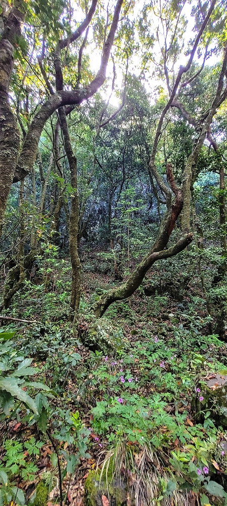 11 de junho de 2022 Volta exigente pelo Rosto Branco — Seguindo até à primeira Madre — foto 2