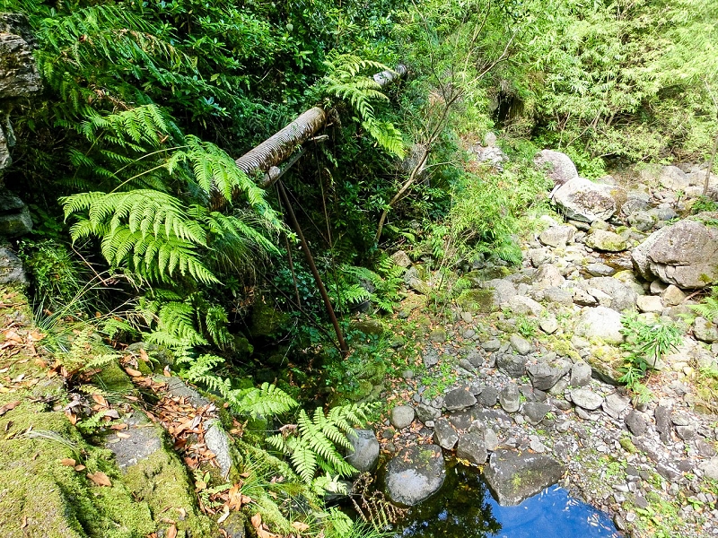 11 de junho de 2022 Volta exigente pelo Rosto Branco — A primeira Madre da Levada dos Agrioes — foto 1