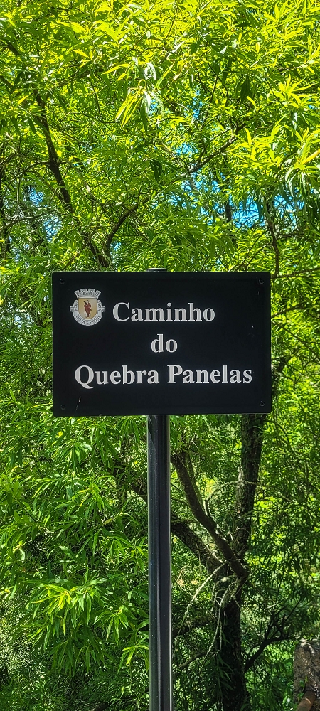 11 de junho de 2022 Volta exigente pelo Rosto Branco — Descida pelo PR21 — foto 6