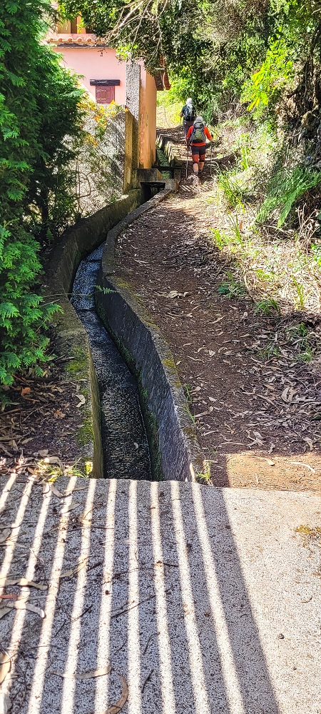 11 de junho de 2022 Volta exigente pelo Rosto Branco — Subida de Rosario à Levada da Faja do Rodrigues — foto 8