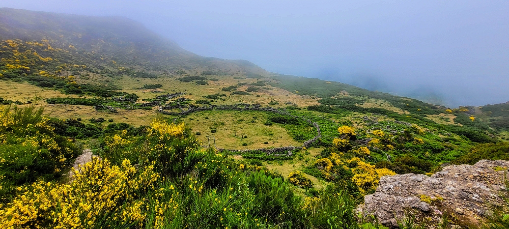 11.06.2024 Levada do Paul - Unter Windrädern — Weiter bis zur alten Madre und hoch zur Faja Redonda — Foto 5