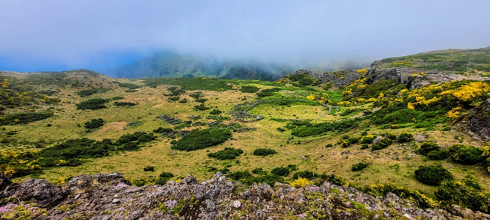 11.06.2024 Levada do Paul - Unter Windrädern — Weiter bis zur alten Madre und hoch zur Faja Redonda — Foto 6