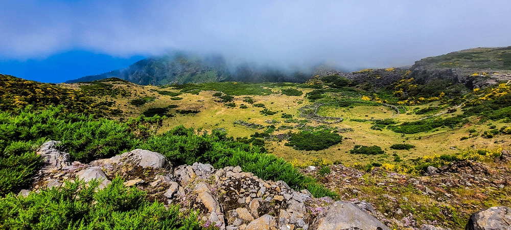 11.06.2024 Levada do Paul - Unter Windrädern — Weiter bis zur alten Madre und hoch zur Faja Redonda — Foto 8
