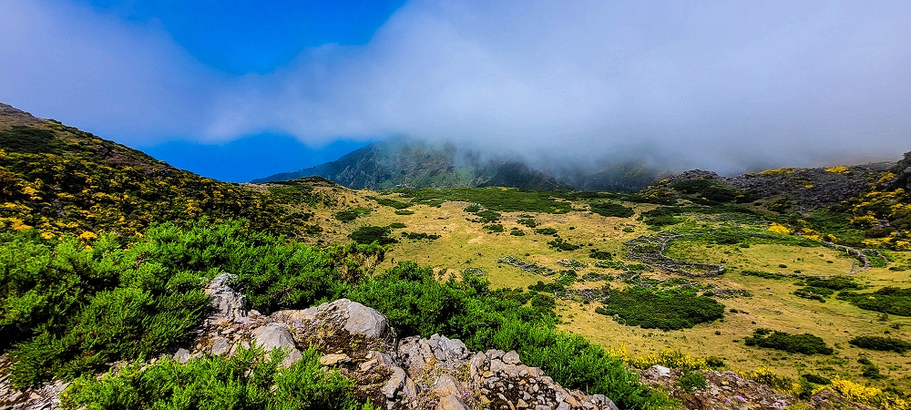11.06.2024 Levada do Paul - Unter Windrädern — Weiter bis zur alten Madre und hoch zur Faja Redonda — Foto 9
