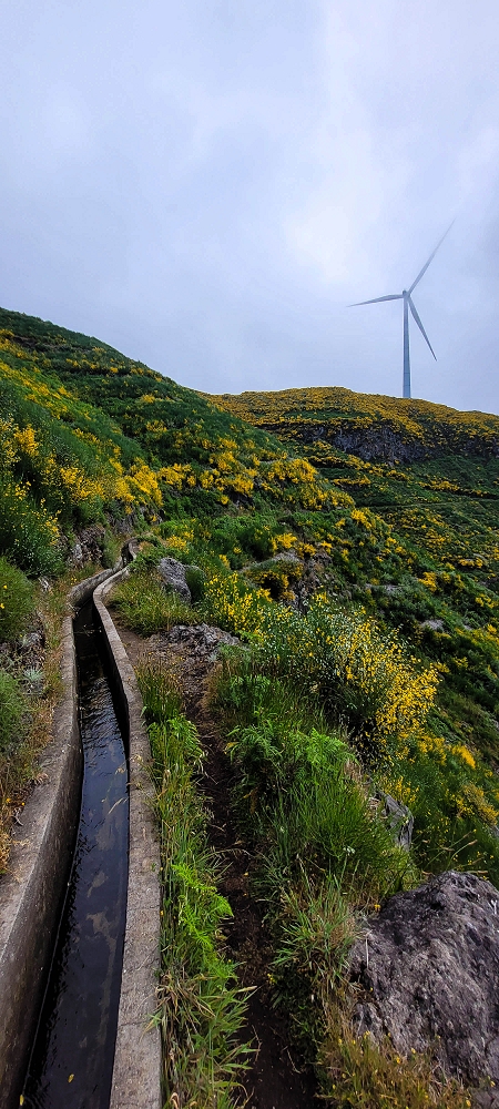 11.06.2024 Levada do Paul - Unter Windrädern — Auf der Levada do Paul bis zur Levadatreppe — Foto 6