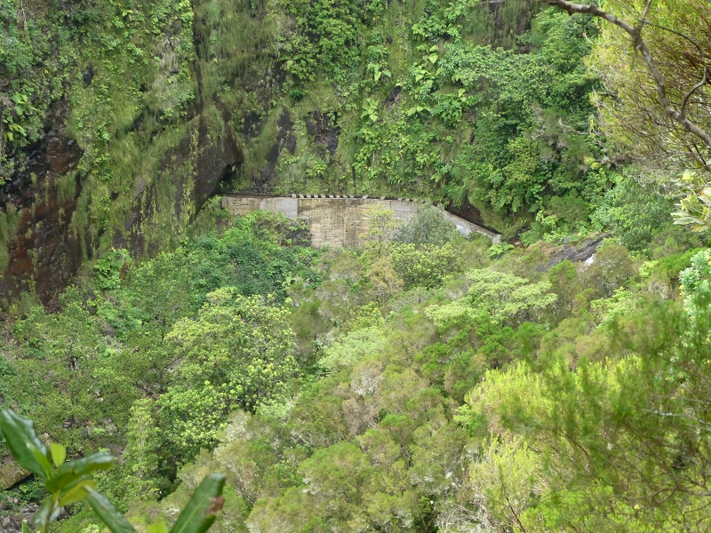 11 July 2018 From the Fanal road via Relvinha to the Levada do Seixal and ascent via the Levada do Norte to Paul da Serra — Relvinha descent — photo 16
