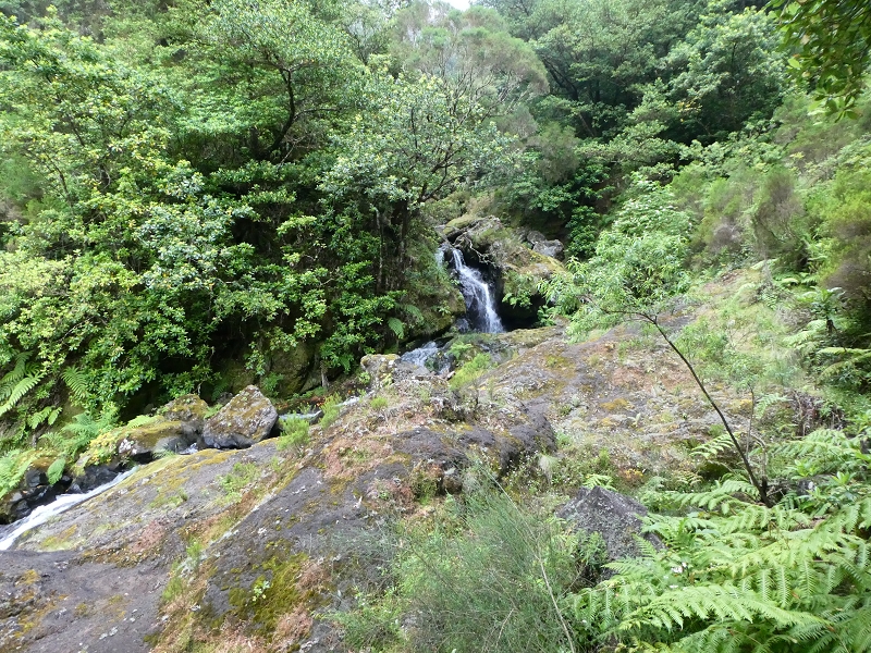 11 July 2018 From the Fanal road via Relvinha to the Levada do Seixal and ascent via the Levada do Norte to Paul da Serra — At the Ribeira do Seixal — photo 1