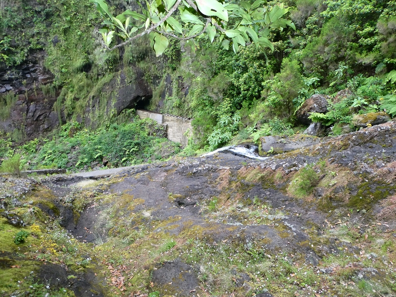 11 July 2018 From the Fanal road via Relvinha to the Levada do Seixal and ascent via the Levada do Norte to Paul da Serra — At the Ribeira do Seixal — photo 2