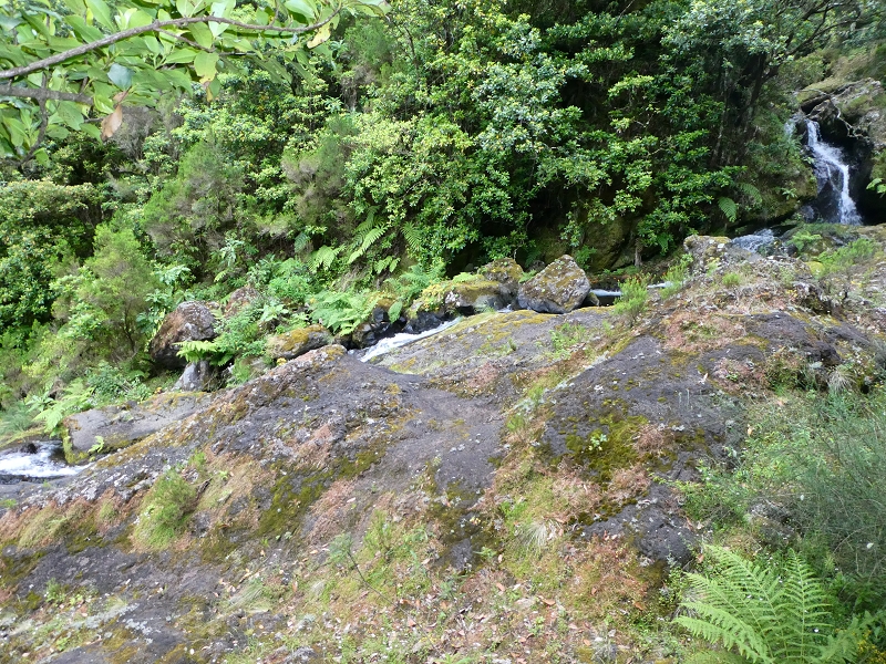 11 July 2018 From the Fanal road via Relvinha to the Levada do Seixal and ascent via the Levada do Norte to Paul da Serra — At the Ribeira do Seixal — photo 3