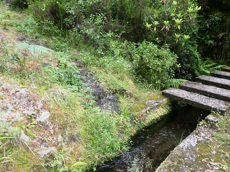 11 July 2018 From the Fanal road via Relvinha to the Levada do Seixal and ascent via the Levada do Norte to Paul da Serra — At the Ribeira do Seixal — photo 4