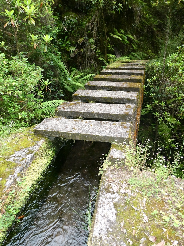 11 July 2018 From the Fanal road via Relvinha to the Levada do Seixal and ascent via the Levada do Norte to Paul da Serra — At the Ribeira do Seixal — photo 5