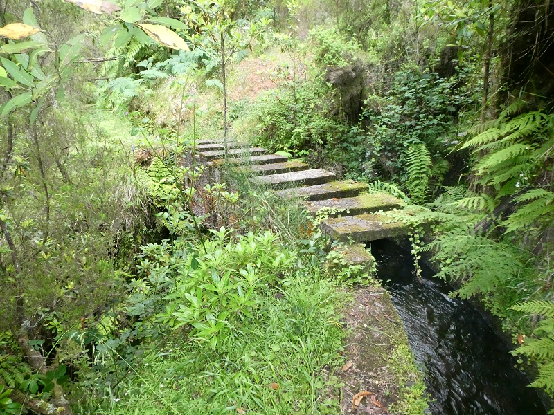 11 July 2018 From the Fanal road via Relvinha to the Levada do Seixal and ascent via the Levada do Norte to Paul da Serra — At the Ribeira do Seixal — photo 10