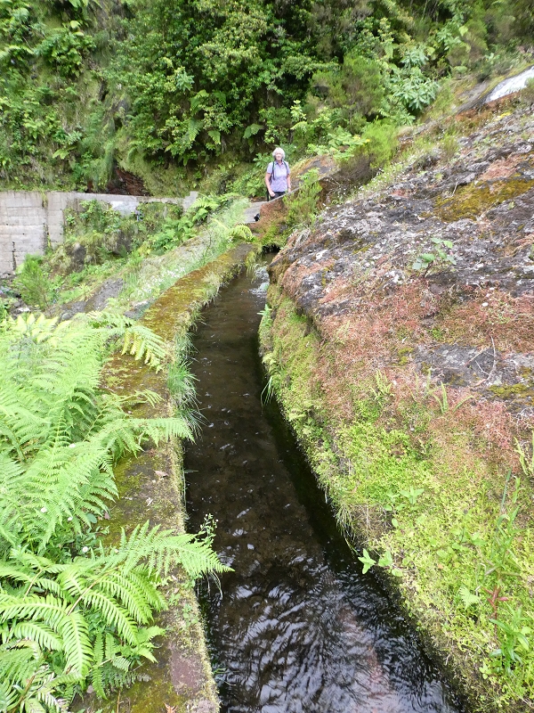 11 July 2018 From the Fanal road via Relvinha to the Levada do Seixal and ascent via the Levada do Norte to Paul da Serra — At the Ribeira do Seixal — photo 11