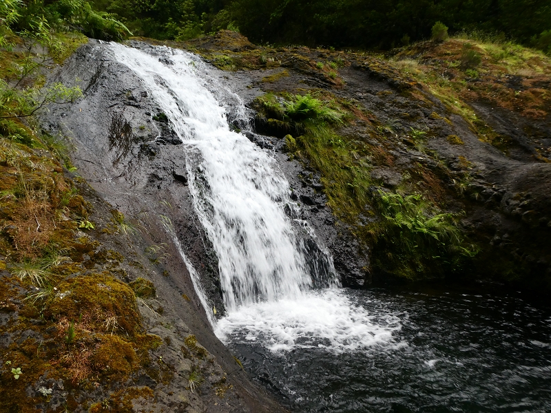 11 July 2018 From the Fanal road via Relvinha to the Levada do Seixal and ascent via the Levada do Norte to Paul da Serra — At the Ribeira do Seixal — photo 12