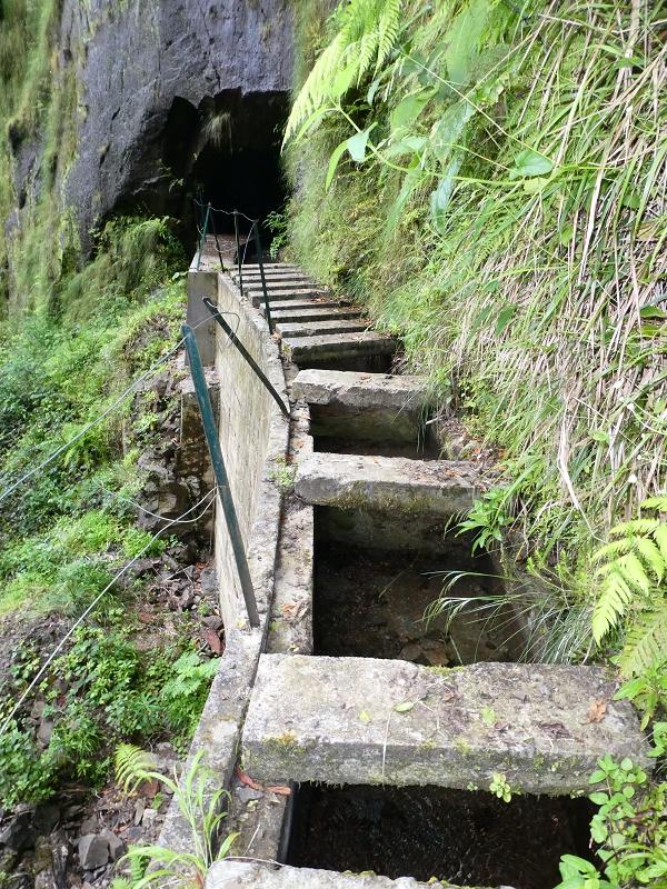 11 July 2018 From the Fanal road via Relvinha to the Levada do Seixal and ascent via the Levada do Norte to Paul da Serra — At the Ribeira do Seixal — photo 14