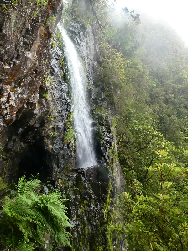 11 July 2018 From the Fanal road via Relvinha to the Levada do Seixal and ascent via the Levada do Norte to Paul da Serra — Hortela tunnel and waterfall, exposed course — photo 5