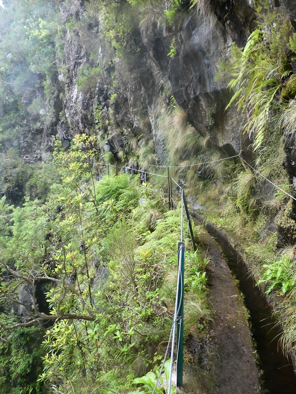 11 July 2018 From the Fanal road via Relvinha to the Levada do Seixal and ascent via the Levada do Norte to Paul da Serra — Hortela tunnel and waterfall, exposed course — photo 6