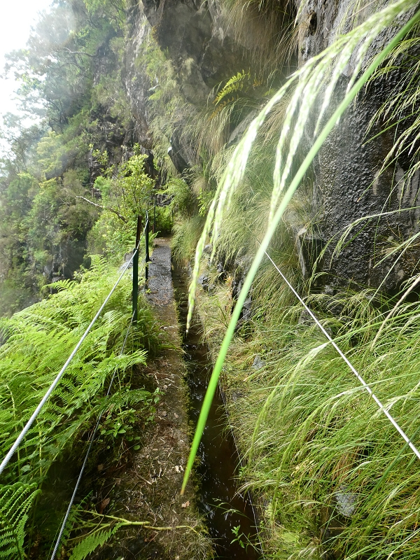 11 July 2018 From the Fanal road via Relvinha to the Levada do Seixal and ascent via the Levada do Norte to Paul da Serra — Hortela tunnel and waterfall, exposed course — photo 7