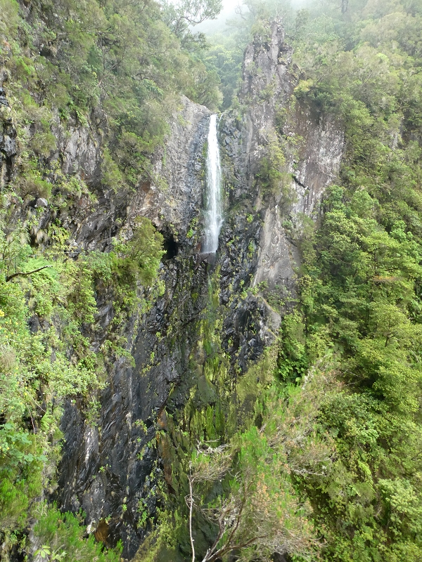 11 July 2018 From the Fanal road via Relvinha to the Levada do Seixal and ascent via the Levada do Norte to Paul da Serra — Hortela tunnel and waterfall, exposed course — photo 9