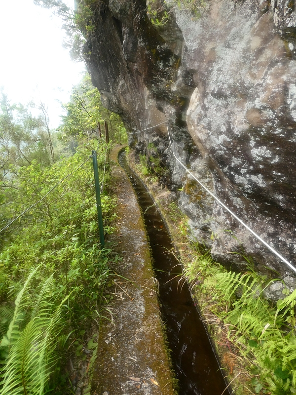 11 July 2018 From the Fanal road via Relvinha to the Levada do Seixal and ascent via the Levada do Norte to Paul da Serra — Hortela tunnel and waterfall, exposed course — photo 10