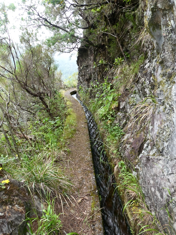 11 July 2018 From the Fanal road via Relvinha to the Levada do Seixal and ascent via the Levada do Norte to Paul da Serra — Hortela tunnel and waterfall, exposed course — photo 16
