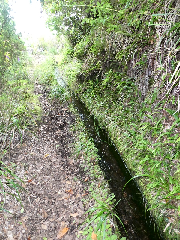 11 July 2018 From the Fanal road via Relvinha to the Levada do Seixal and ascent via the Levada do Norte to Paul da Serra — Across the Ribeira do Folhado — photo 1