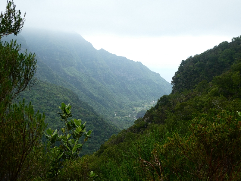 11 July 2018 From the Fanal road via Relvinha to the Levada do Seixal and ascent via the Levada do Norte to Paul da Serra — Across the Ribeira do Folhado — photo 3
