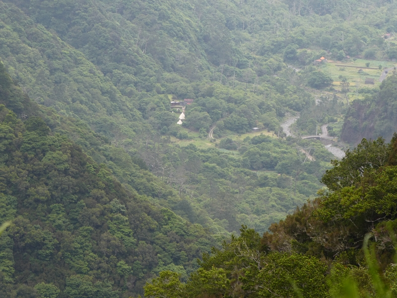 11 July 2018 From the Fanal road via Relvinha to the Levada do Seixal and ascent via the Levada do Norte to Paul da Serra — Across the Ribeira do Folhado — photo 4