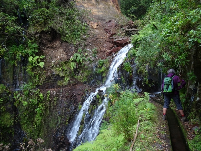 11 July 2018 From the Fanal road via Relvinha to the Levada do Seixal and ascent via the Levada do Norte to Paul da Serra — Across the Ribeira do Folhado — photo 5