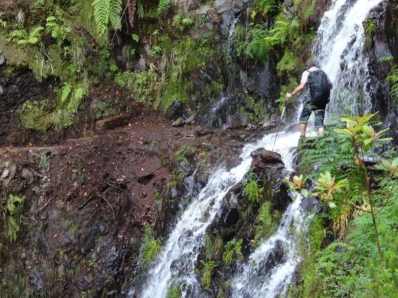 11 July 2018 From the Fanal road via Relvinha to the Levada do Seixal and ascent via the Levada do Norte to Paul da Serra — Across the Ribeira do Folhado — photo 7