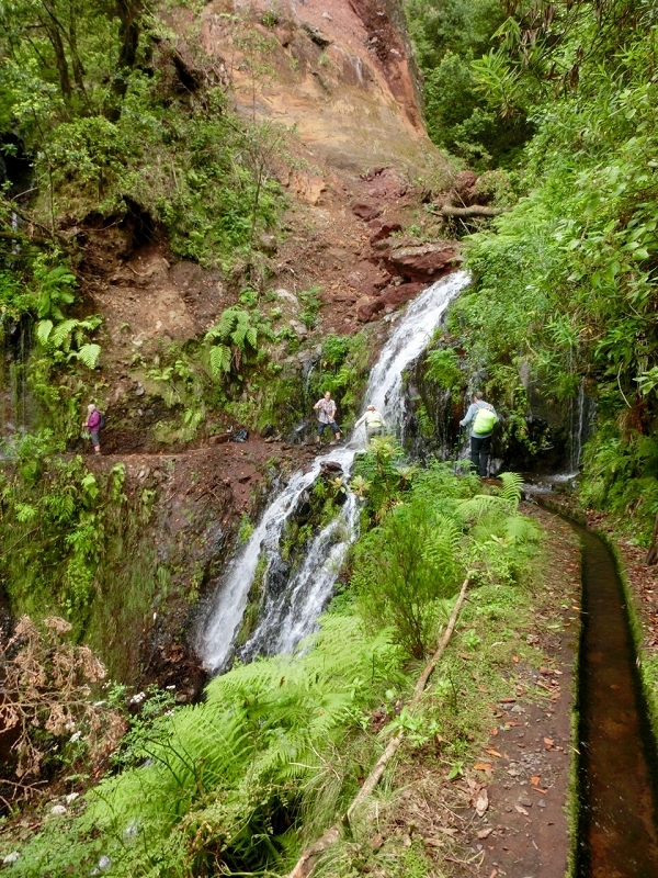 11 July 2018 From the Fanal road via Relvinha to the Levada do Seixal and ascent via the Levada do Norte to Paul da Serra — Across the Ribeira do Folhado — photo 9