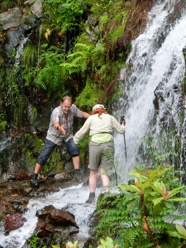 11 July 2018 From the Fanal road via Relvinha to the Levada do Seixal and ascent via the Levada do Norte to Paul da Serra — Across the Ribeira do Folhado — photo 10