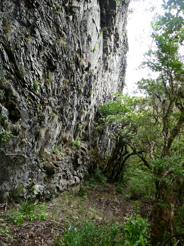 11 July 2018 From the Fanal road via Relvinha to the Levada do Seixal and ascent via the Levada do Norte to Paul da Serra — Relvinha descent — photo 6