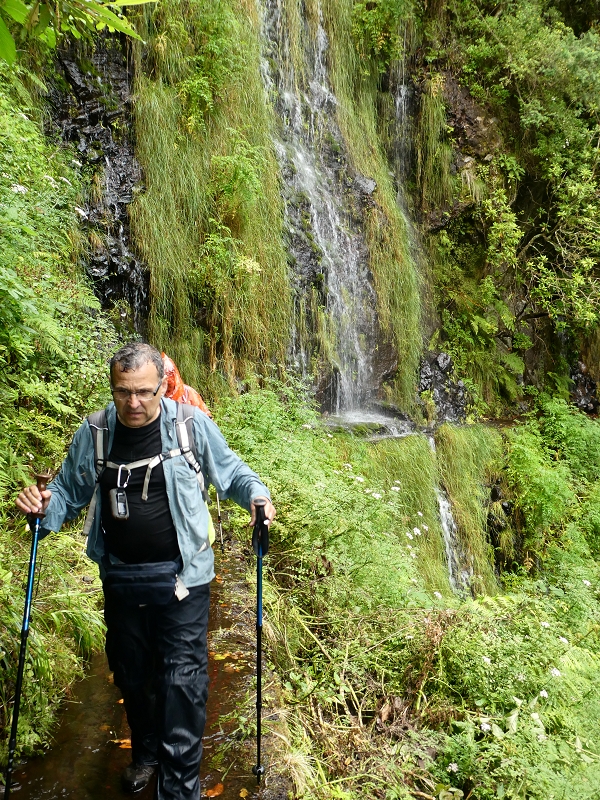 11 July 2018 From the Fanal road via Relvinha to the Levada do Seixal and ascent via the Levada do Norte to Paul da Serra — Across the Ribeira do Folhado — photo 12