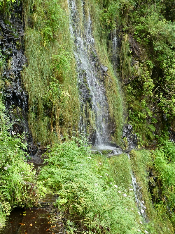 Levada do Seixal — Passage der Ribeira do Folhado — Foto 3