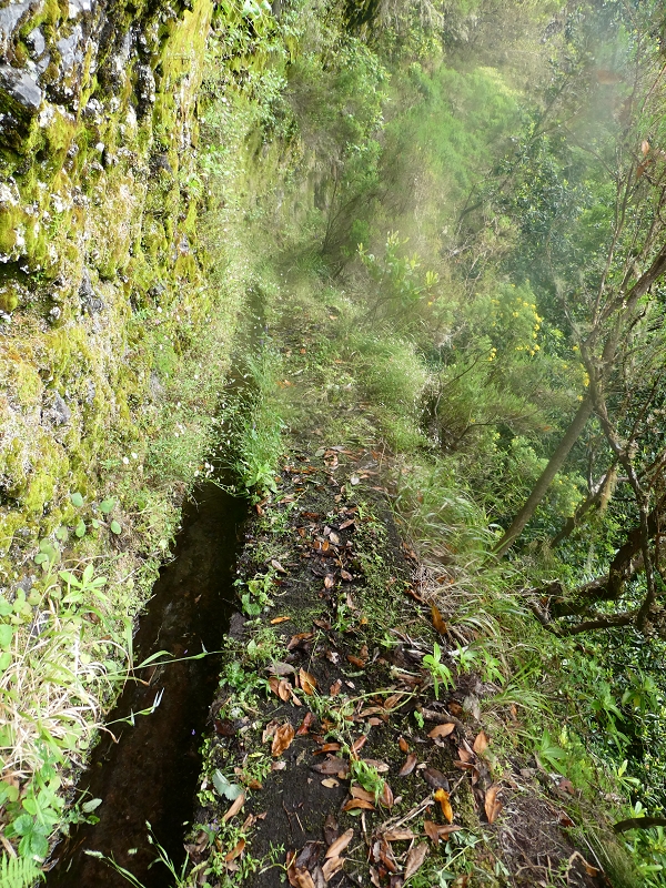 Levada do Seixal — Die ersten Meter — Foto 1